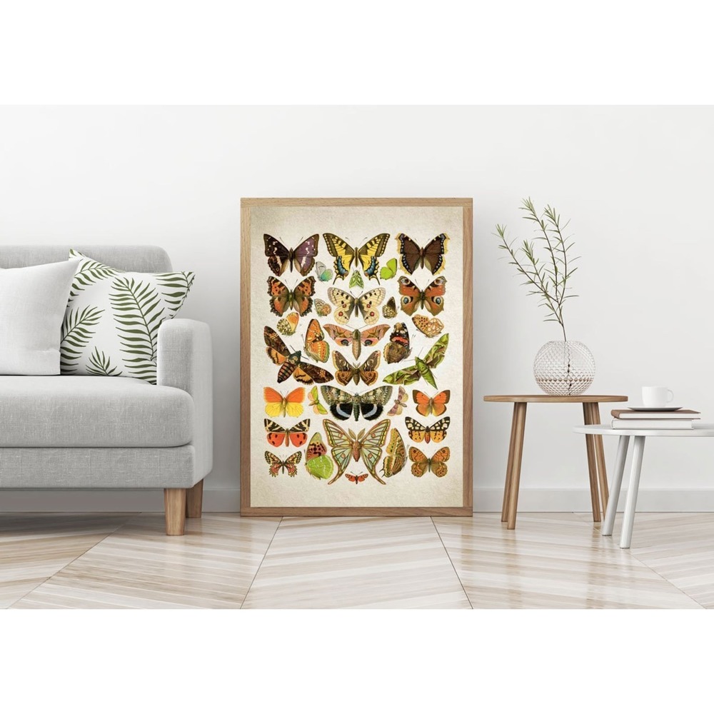 Botanical Butterfly Illustrations Butterfly Prints Butterfly Poster